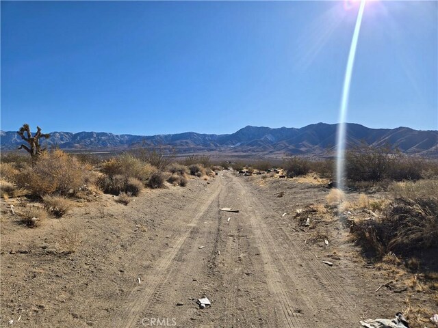 108900SF Miller Ranch Rd, Lucerne Valley, CA 92356 - photo 11