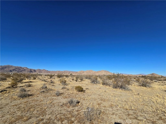 Listing photo 3 for 108900SF Miller Ranch Rd, Lucerne Valley CA 92356