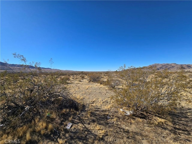 108900SF Miller Ranch Rd, Lucerne Valley, CA 92356 - photo 6
