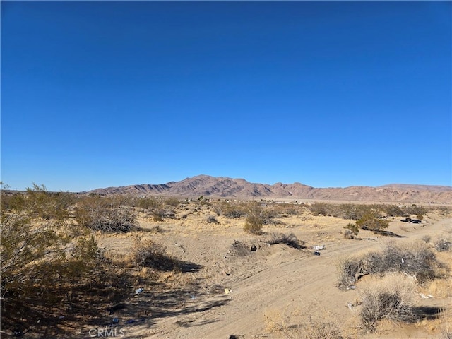 108900SF Miller Ranch Rd, Lucerne Valley, CA 92356 - photo 5