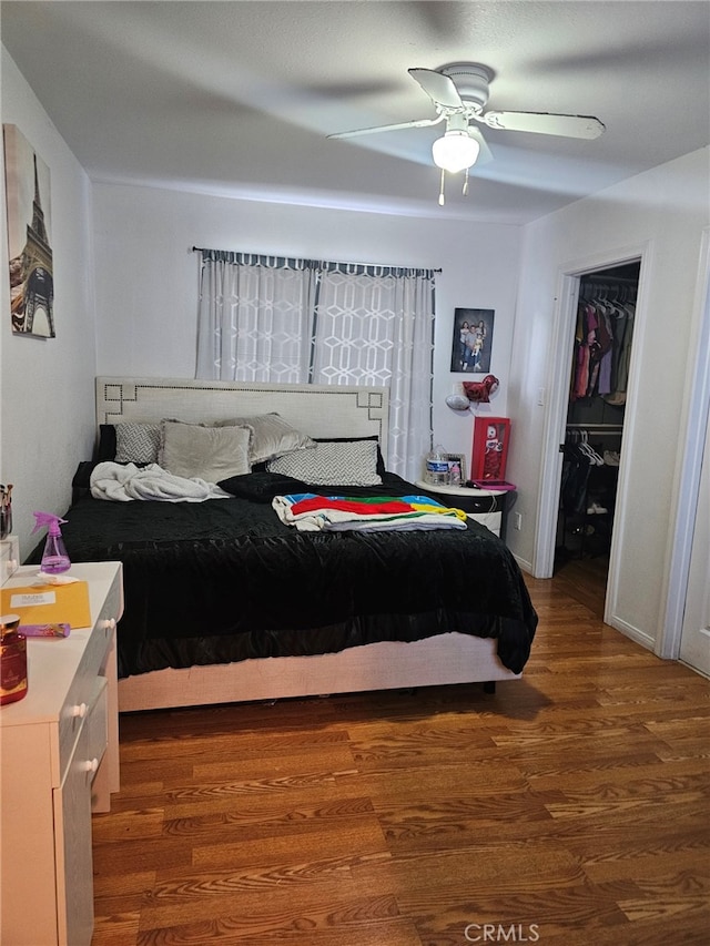 bedroom featuring dark wood-type flooring, a closet, ceiling fan, and a walk in closet