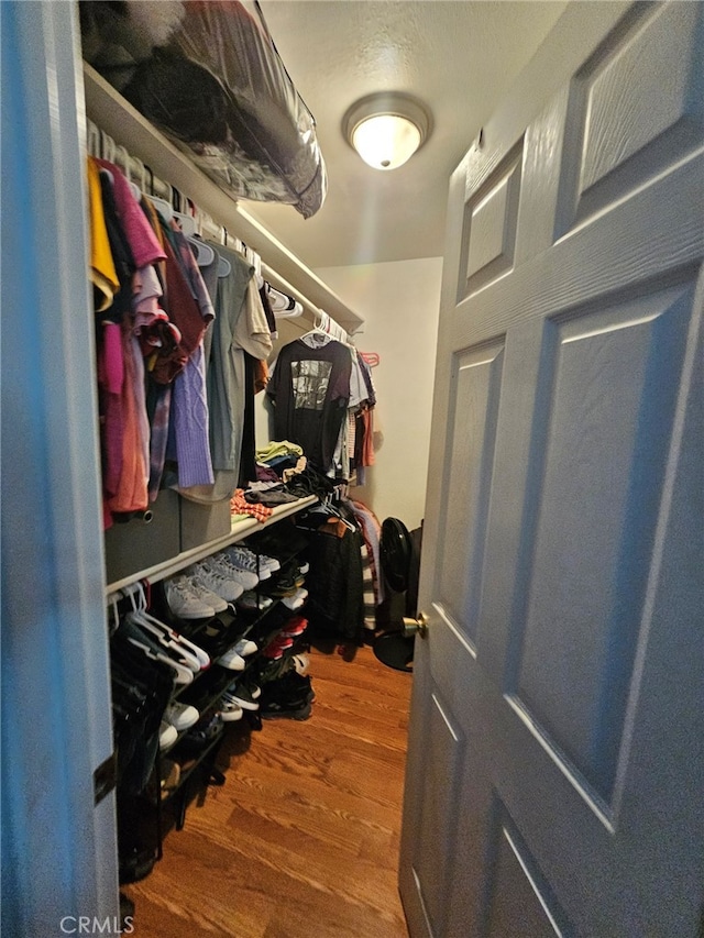 spacious closet with hardwood / wood-style floors