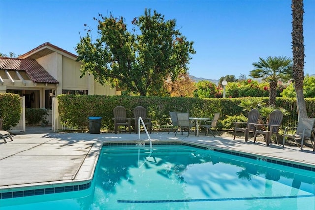 view of swimming pool with a patio