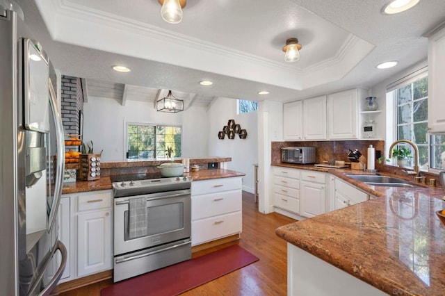 kitchen with white cabinets, appliances with stainless steel finishes, a tray ceiling, and sink