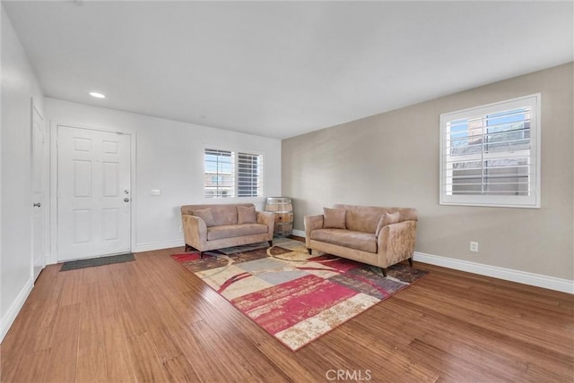 living room with wood-type flooring