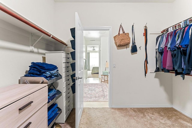 walk in closet with light carpet