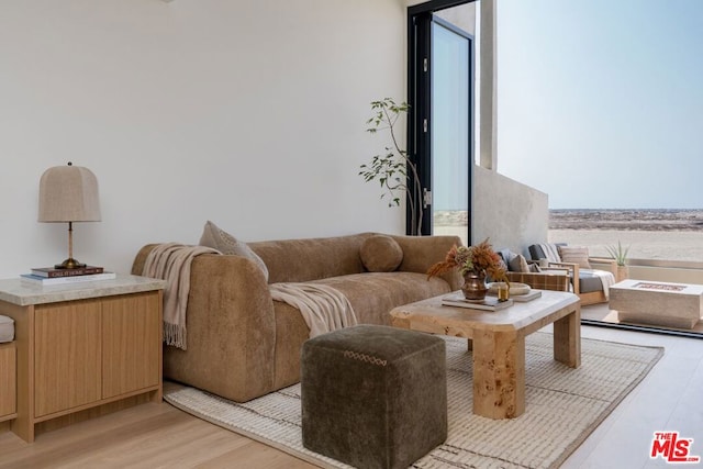 living room with light hardwood / wood-style flooring