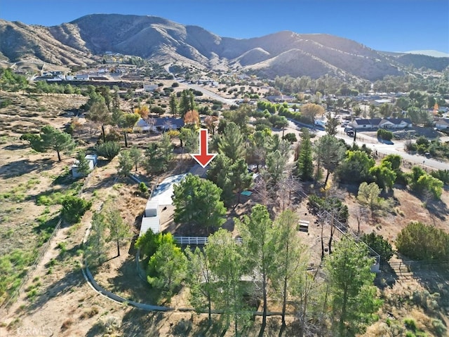 birds eye view of property featuring a mountain view