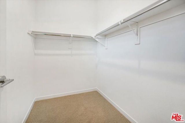 spacious closet with carpet