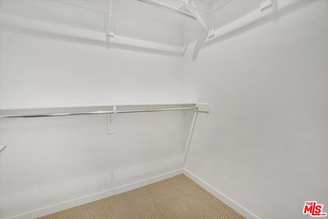 view of walk in closet