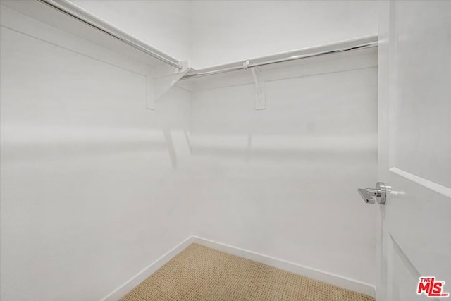 view of walk in closet