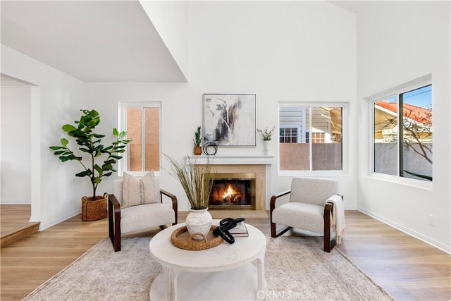 living area with a fireplace and light hardwood / wood-style floors