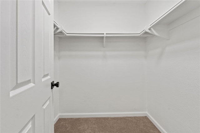 walk in closet with carpet floors