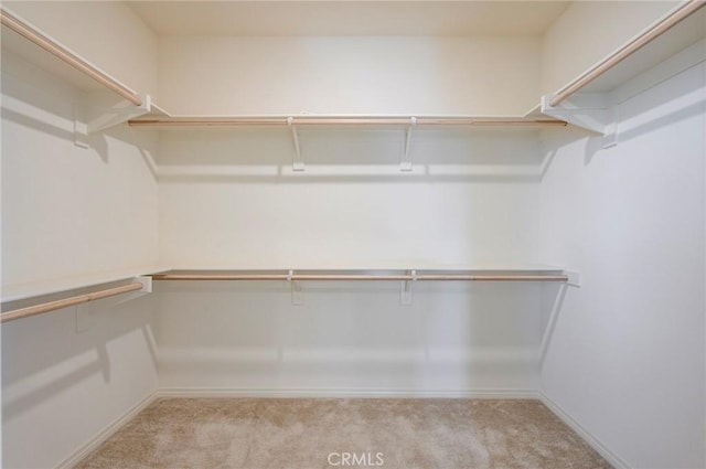 walk in closet with light carpet