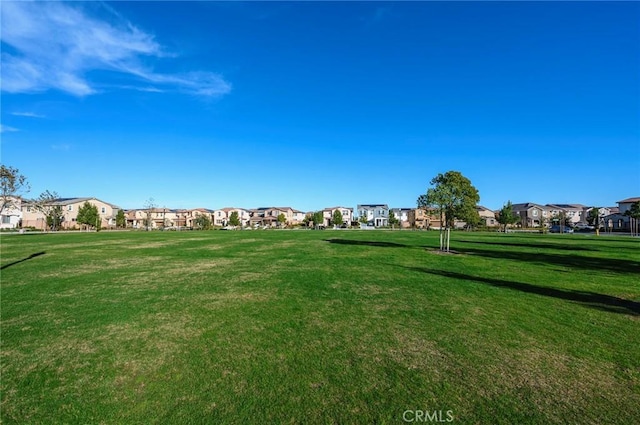 view of community featuring a yard