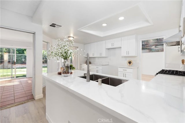 kitchen with sink, white cabinets, light stone counters, and a tray ceiling