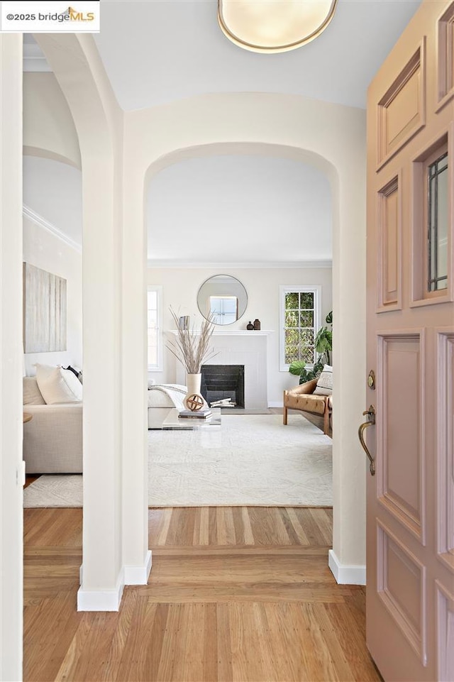 foyer entrance with hardwood / wood-style flooring