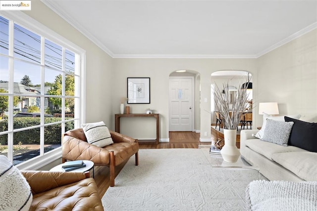 living room with wood-type flooring and crown molding