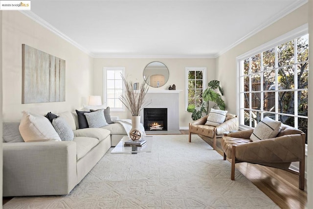 living room with ornamental molding