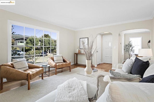 living room with plenty of natural light, crown molding, and light hardwood / wood-style floors