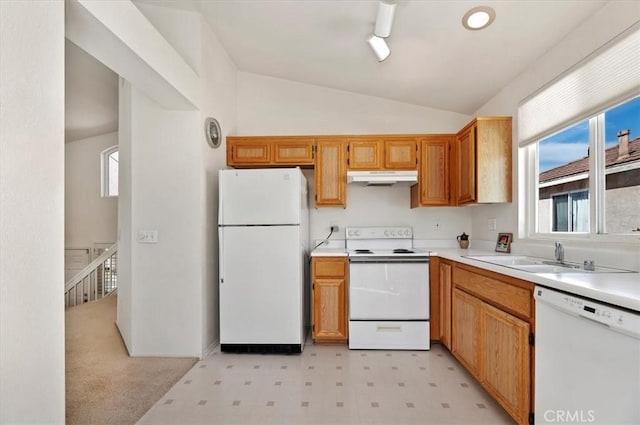 kitchen featuring lofted ceiling, sink, light colored carpet, and white appliances