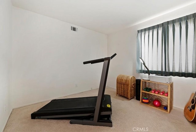 exercise room featuring carpet floors