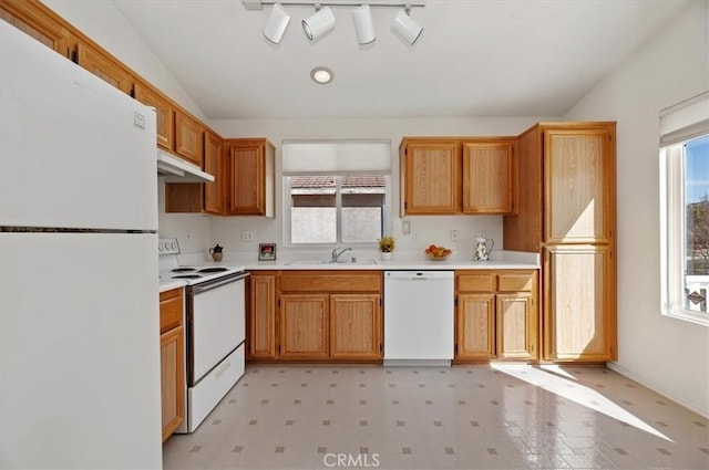 kitchen featuring sink and white appliances