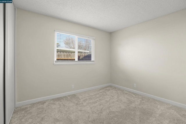 empty room featuring light colored carpet and a textured ceiling