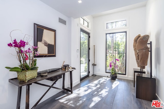 foyer with dark hardwood / wood-style floors