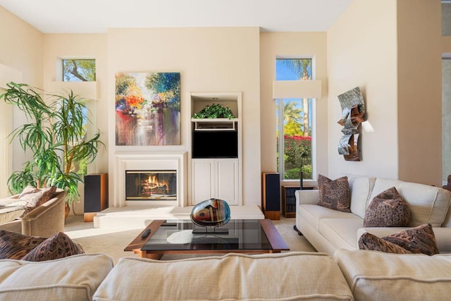 living room with a wealth of natural light