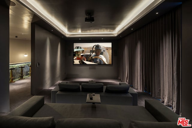 cinema room with a raised ceiling