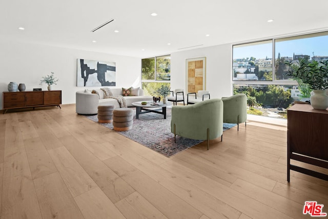 living room featuring floor to ceiling windows and light wood-type flooring