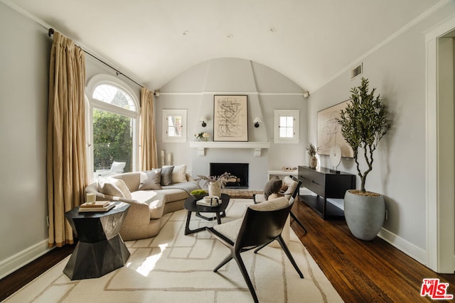 living room featuring a large fireplace, vaulted ceiling, and hardwood / wood-style flooring