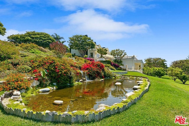 view of yard featuring a small pond