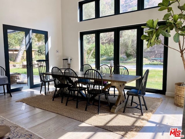 dining room featuring french doors, light hardwood / wood-style flooring, and a healthy amount of sunlight