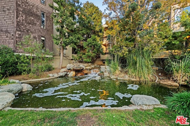 view of yard with a small pond