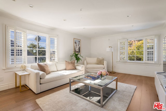 living room with ornamental molding, a wealth of natural light, and light hardwood / wood-style flooring