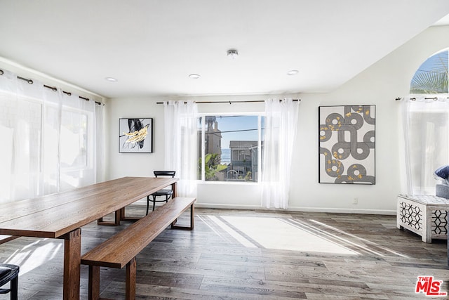 dining space with a healthy amount of sunlight and dark wood-type flooring