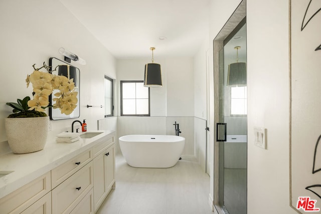 bathroom featuring vanity and independent shower and bath