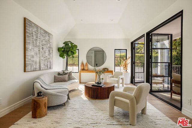 living area featuring a raised ceiling, plenty of natural light, and hardwood / wood-style flooring