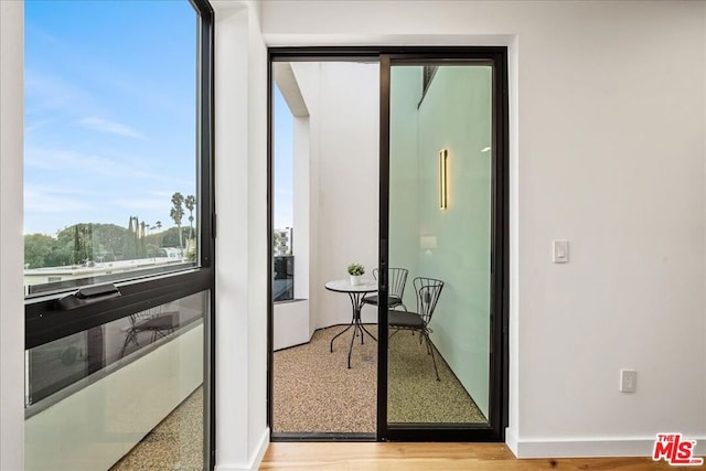 doorway featuring light wood-type flooring and plenty of natural light