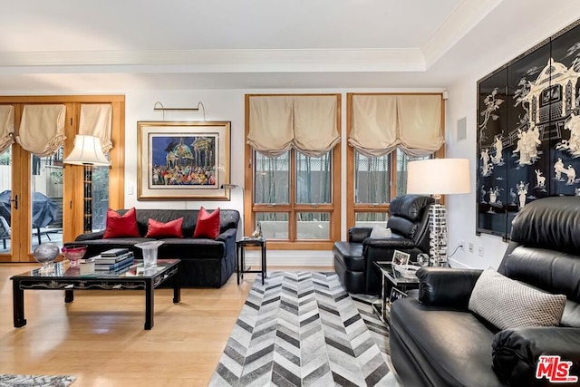 living room with a raised ceiling and light wood-type flooring