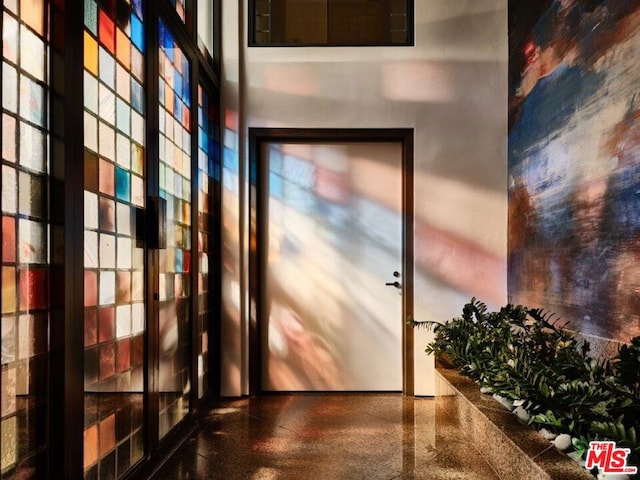 entryway with a towering ceiling