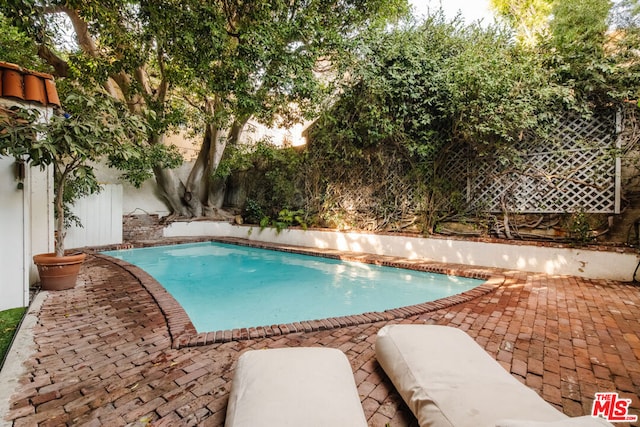 view of swimming pool with a patio area