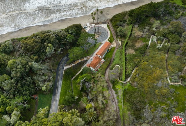 bird's eye view