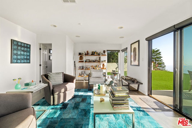 living room featuring hardwood / wood-style flooring