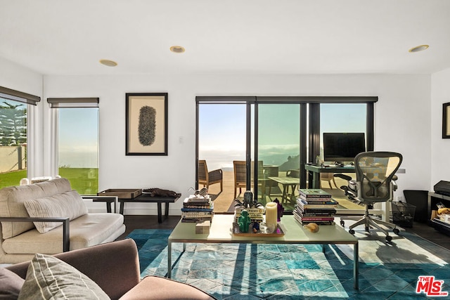 living room with dark hardwood / wood-style flooring