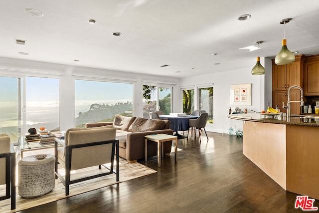 living room with sink and dark wood-type flooring