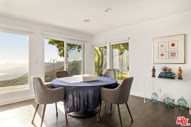 dining room featuring dark hardwood / wood-style flooring and a healthy amount of sunlight