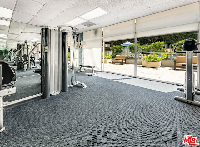 exercise room with carpet floors and a healthy amount of sunlight